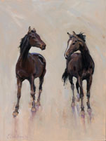 28 Yearlings