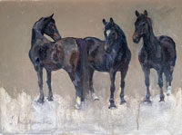 29 Household Cavalry horses
