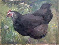 21 Black hen 