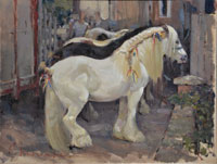 33 Grey pony, Wickham Horse Fair 